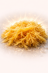 Sea Moss